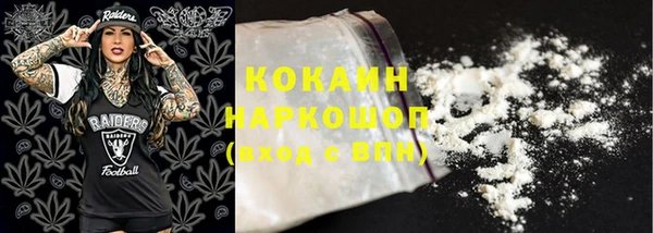 индика Корсаков
