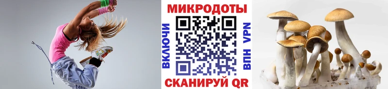 Галлюциногенные грибы Psilocybine cubensis  Приморско-Ахтарск 